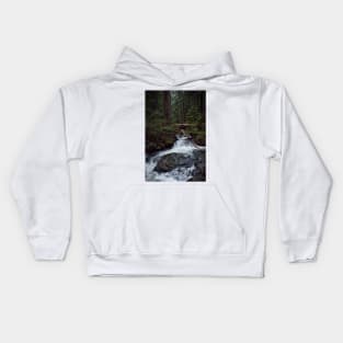 Lake 22 Trail Kids Hoodie